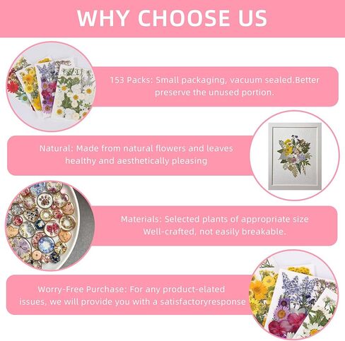 Botanical Pressed Flower Set – Real Dried Flowers & Leaves for Resin Art, Scrapbooking, Candle Making, and DIY Nature Crafts in Saudi Arabia