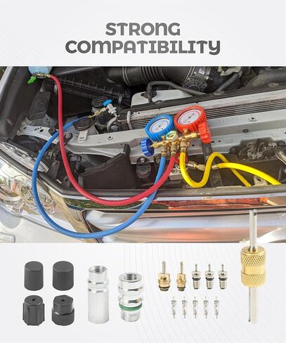 مجموعة صمامات شريدر AC 17 قطعة، مجموعة صمامات التيار المتردد الأساسية لملحقات السيارات مع أداة إزالة، متوافقة مع مبردات R12، R22، R134، مناسبة لاستبدال وإصلاح مكيفات هواء السيارة in Kuwait