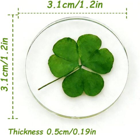 St. Patrick's Day Real Shamrock Plant, Good Luck Charm Pocket Token, Irish Gifts for Friends, Family, 1.25" (Shamrock Plant Pocket Token) in Saudi Arabia