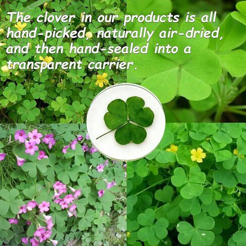 St. Patrick's Day Real Shamrock Plant, Good Luck Charm Pocket Token, Irish Gifts for Friends, Family, 1.25" (Shamrock Plant Pocket Token) in Saudi Arabia