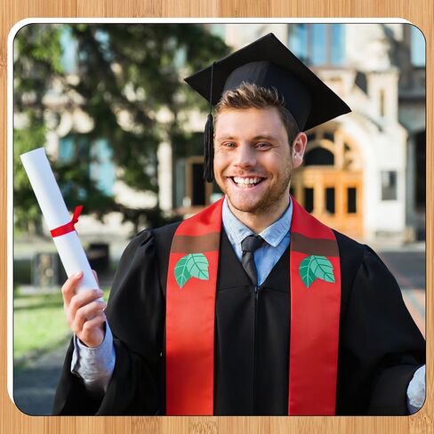 Hercicy 6 Pcs Teacher Graduation Stole Class of 2026 Teacher Graduation Sash Gift Pencil Apple Crayon Composition Notebook Ruler College Grad Sashes in Saudi Arabia