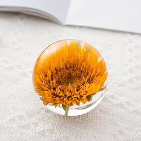 ثقالة ورق من الراتنج مع زهور محفوظة حقيقية، تذكار بلوم أبدية للمكتب والمكتب المنزلي، هدية ملهمة فريدة للنساء والأم والمعلم وعيد الحب (وردة حمراء) in Kuwait