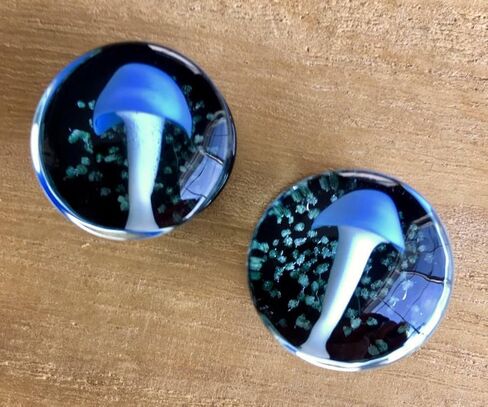 PAIR of Floating Mushroom Pyrex Glass Double Flare Plugs Gauges Body Jewelry in Saudi Arabia
