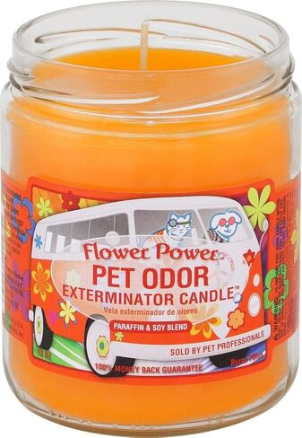 0 Happy Days„ Pet Oder Exterminator Candle„ 13 oz in Saudi Arabia