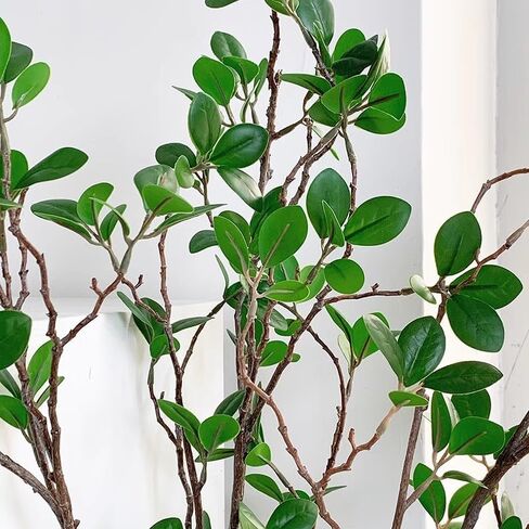 4Pcs Artificial Greens Branches for Vase, 27" Faux Twigs Tree Stems, Fake Plants Tree Branches for Home Decor, Fake Ficus Twigs for Office Wedding Shop Vase Fillers Banquet Decoration in Saudi Arabia