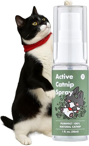 Super Active Catnip Set - Fresh Catnip Powder (0.5 oz) & Potent Spray (1fl oz) with Strong Scent for Exercising, Relaxing, and Training Cats in Saudi Arabia