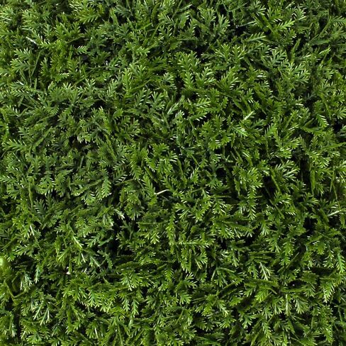 كرة توبياري السرو الاصطناعية من بورنبريدج - نباتات داخلية/خارجية مقاس 4 بوصات - أشجار صناعية خارجية نابضة بالحياة (عبوتان) in Kuwait