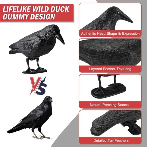 شرك الغراب آرتشريست، بلاستيك كامل الجسم لجذب أفخاخ الصيد، ديكور فناء الحديقة وديكور الهالوين in Kuwait