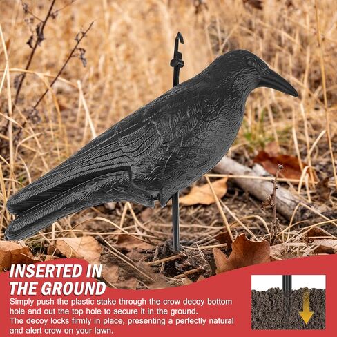 شرك الغراب آرتشريست، بلاستيك كامل الجسم لجذب أفخاخ الصيد، ديكور فناء الحديقة وديكور الهالوين in Kuwait