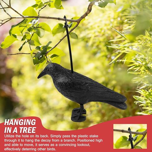 شرك الغراب آرتشريست، بلاستيك كامل الجسم لجذب أفخاخ الصيد، ديكور فناء الحديقة وديكور الهالوين in Kuwait