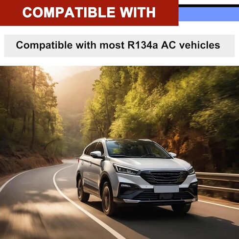 10Pcs R134a Cap A/C Cap 13mm & 16mm Air Conditioning Service AC System Charging Port Caps (5 Sets Blue Low & Red High) in Kuwait