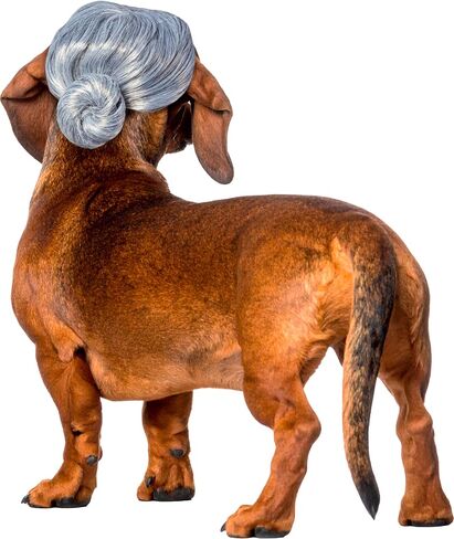 شعر مستعار السيدة العجوز من روبي للحيوانات الأليفة in Kuwait