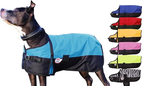 معطف الكلب الشتوي المقاوم للماء من ديربي أوريجينالز هورس تاف 600D ريبستوب، 150 جرام، متوسط ​​الوزن in Kuwait