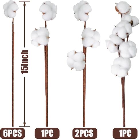 10 عبوات من سيقان القطن الطبيعي المجفف - زهور قطنية حقيقية مقاس 15 بوصة مع 20 كرة، حزمة فروع ديكور مزرعة ريفية لحشو المزهرية DIY وقطعة الزفاف المركزية، عيد الميلاد، الهالوين in Kuwait