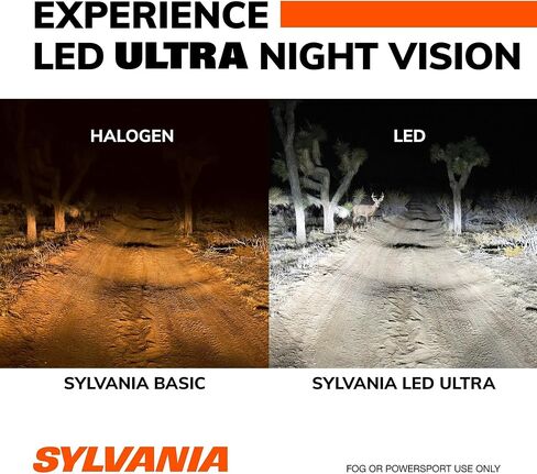 SYLVANIA 9012 LED Ultra - Fog Lights For Cars and Trucks - Headlight Bulbs for Off Road Powersports - 6000k Cool White LED Light - Maximum Lifespan - No Polarity - DIY Upgrade in Saudi Arabia