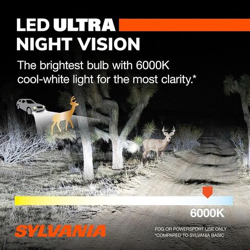 SYLVANIA 9012 LED Ultra - Fog Lights For Cars and Trucks - Headlight Bulbs for Off Road Powersports - 6000k Cool White LED Light - Maximum Lifespan - No Polarity - DIY Upgrade in Saudi Arabia