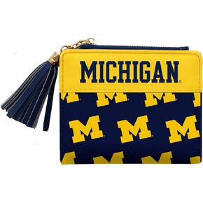 Littlearth Unisex-Adult NCAA Michigan Wolverines Mini Organizer, Team Color, One Size