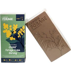 Oasis Forage Floral Foam Strong | Securely Holds Branches and Big Stems | Degradable | Superior Hydration for Foraged Botanicals | Dark Brown | Pack of 2 Bricks