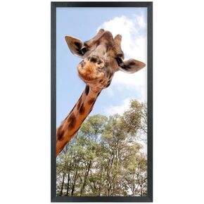 إطارات صور ZGCTSM مقاس 10 × 19 من الخشب الصلب مقاس 10 × 19 بوصة إطار ملصق للحائط مقاس 10 × 19 بوصة إطارات صور عائلية باللون الأسود (C22B1019) in Kuwait