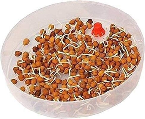 صانعة براعم صحية من 3 طبقات من بيليكسي، صندوق حاوية براعم طازجة لصناعة المنزل العضوي، صانعة براعم الفاصوليا مثالية للنمو في الأماكن المغلقة - 17 أونصة (500 مل) in Kuwait