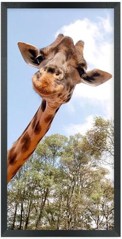 إطارات صور ZGCTSM مقاس 10 × 19 من الخشب الصلب مقاس 10 × 19 بوصة إطار ملصق للحائط مقاس 10 × 19 بوصة إطارات صور عائلية باللون الأسود (C22B1019) in Kuwait