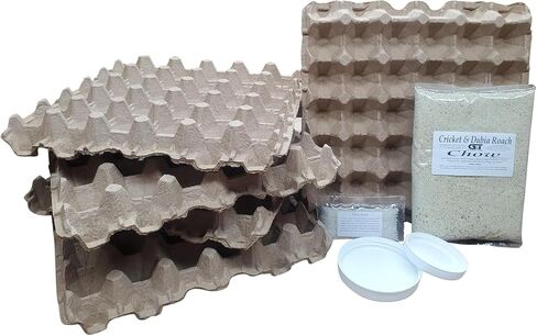 G&T Country Living Dubia Roach Colony Starter Kit with 1 Pound of Feeder Insect Chow for Earthworms, Hissing Cockroaches, Breeding Insects, Gut Loading, for Reptiles in Kuwait