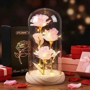 Otlonpe Forever Preserved Glass Roses Flowers with Light, Birthday Valentines Day Womens Gifts for Her, Mom Grandma Girlfriend Wife Sister Gifts for Christmas Valentines Mothers Day, 7.8-inch (White) in Kuwait