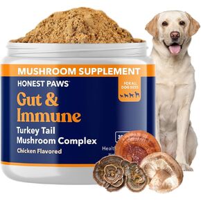 صادقة الكفوف الكلب الجهاز الهضمي وتعزيز المناعة - مزيج الفطر ذيل تركيا - شيتاكي، ريشي، صيغة استخراج الفطر مايتاكي - لا حشو، لا إضافات - (1.05 أوقية) in Kuwait
