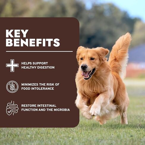 forza10 النظام الغذائي لدعم القولون النشط، المرحلة الأولى من طعام الكلاب المتحلل، طعام الكلاب الجاف يساعد الكلاب في علاج الإسهال والتهاب القولون والإمساك، نكهة بروتين الأنشوجة البرية، حقيبة بوزن 22 رطل in Kuwait