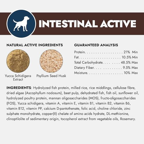 forza10 النظام الغذائي لدعم القولون النشط، المرحلة الأولى من طعام الكلاب المتحلل، طعام الكلاب الجاف يساعد الكلاب في علاج الإسهال والتهاب القولون والإمساك، نكهة بروتين الأنشوجة البرية، حقيبة بوزن 22 رطل in Kuwait