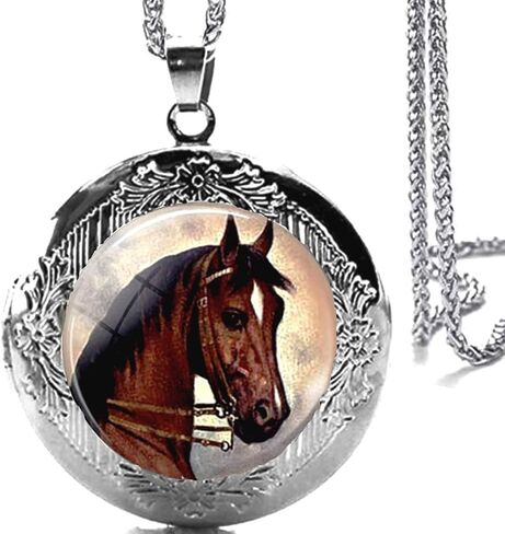 DianaL Boutique Horse Locket Pendant Necklace 24" Stainless Steel Chain Glass Cabochon Art Picture Jewelry in Saudi Arabia