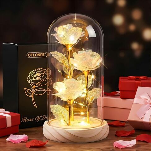 Otlonpe Forever Preserved Glass Roses Flowers with Light, Birthday Valentines Day Womens Gifts for Her, Mom Grandma Girlfriend Wife Sister Gifts for Christmas Valentines Mothers Day, 7.8-inch (White) in Saudi Arabia