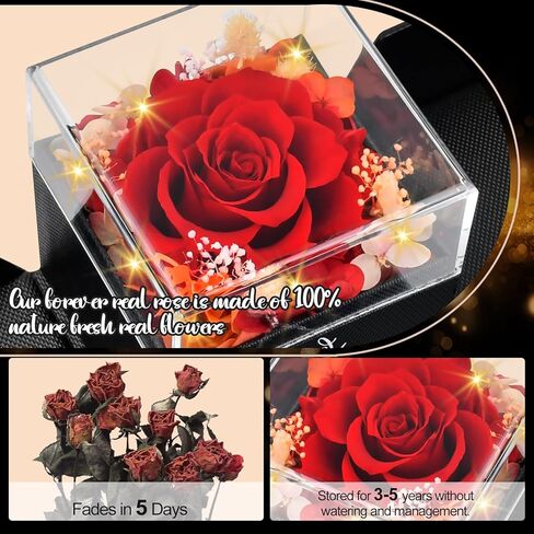 هدايا عيد الأم للأم: وردة حقيقية للأبد مع قلادة على شكل قلب، عيد الميلاد، الذكرى السنوية لعيد الحب، هدايا جالنتين للنساء، صديقتها، زوجة الجدة، قلادة رومانسية محفوظة من الزهور الحقيقية in Kuwait