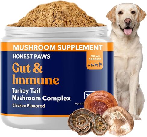 صادقة الكفوف الكلب الجهاز الهضمي وتعزيز المناعة - مزيج الفطر ذيل تركيا - شيتاكي، ريشي، صيغة استخراج الفطر مايتاكي - لا حشو، لا إضافات - (1.05 أوقية) in Kuwait