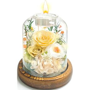 Preserved Flowers in Glass Dome, Eternal Rose Bouquet, Long Lasting Real Flowers Gift with Greeting Card for Anniversary, Birthday, Valentine’s Day, Mother’s Day, Wife, Mom (Purple) in Saudi Arabia