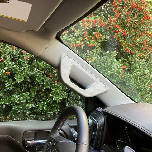 ECOTRIC لوحة مساعدة بمقبض عمود متوافق مع 2014-2019 Chevy Silverado GMC Sierra Grab Bar استبدال الجانب الأيسر للسائق باللون الرمادي لـ 23285089 23285090 in Saudi Arabia