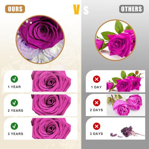 Preserved Flowers in Glass Dome, Eternal Rose Bouquet, Long Lasting Real Flowers Gift with Greeting Card for Anniversary, Birthday, Valentine’s Day, Mother’s Day, Wife, Mom (Purple) in Kuwait