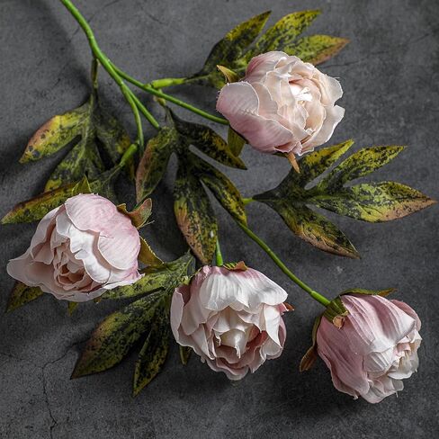 8 Pcs Faux Peony Stems Flowers Bulk Vintage Artificial Silk Peonies Stems Real Look Fake Peonies Branches for Vase Filler DIY Bouquet Centerpieces Home Indoor Outdoor Decorations in Saudi Arabia