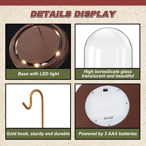 4 x 5 Inch LED Light Pocket Watch Glass Display Dome Cloche with Solid Wood Base Gold Hook Clear Display Bell Jar Cloche Glass Dome for Plants Medals Photo Antique Office Home Decoration in Saudi Arabia