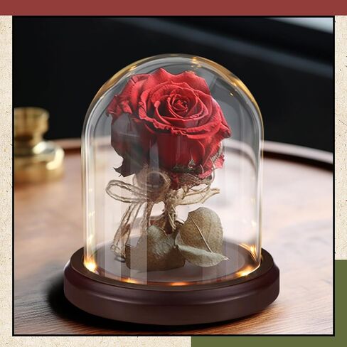 4 x 5 Inch LED Light Pocket Watch Glass Display Dome Cloche with Solid Wood Base Gold Hook Clear Display Bell Jar Cloche Glass Dome for Plants Medals Photo Antique Office Home Decoration in Saudi Arabia