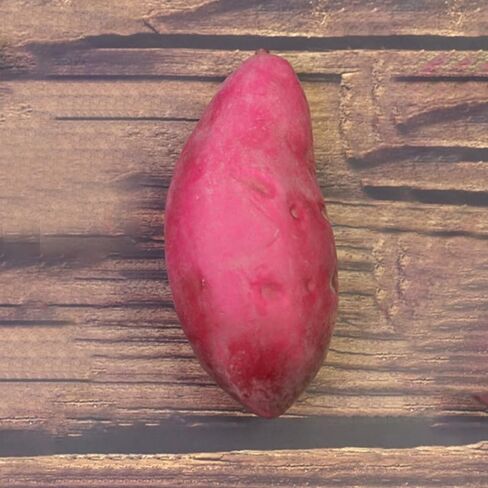 8pcs Lifelike Artificial Sweet Potatoes Realistic Fake Sweet Potato Models for Photography Props and Window Displays for Home Decor and Commercial Use in Saudi Arabia