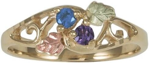 10K gold Black Hills Mothers Birthstone Ring Customizable with 1,2,3,4,5 or 6 Genuine 2.5MM Birthstones in Saudi Arabia