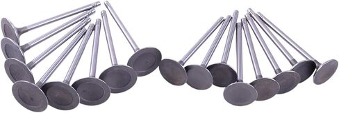 16Pcs Engine Valves Set IV323 EV314 Compatible with Buick Lacrosse Regal Verano Compatible with Chevrolet Compatible with GMC Terrain 12596034 12615936 in Saudi Arabia