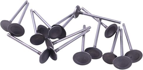 16Pcs Engine Valves Set IV323 EV314 Compatible with Buick Lacrosse Regal Verano Compatible with Chevrolet Compatible with GMC Terrain 12596034 12615936 in Saudi Arabia