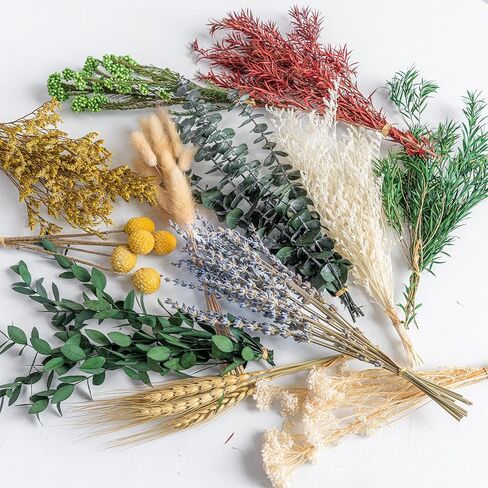 مجموعة الزهور المجففة الطبيعية DIY، 12 نوعًا من الزهور المجففة السائبة بما في ذلك الأوكالبتوس واللافندر والقمح وذيول الأرنب وكرة بيلي، للديكور المنزلي/عيد الميلاد/الموسمي in Saudi Arabia