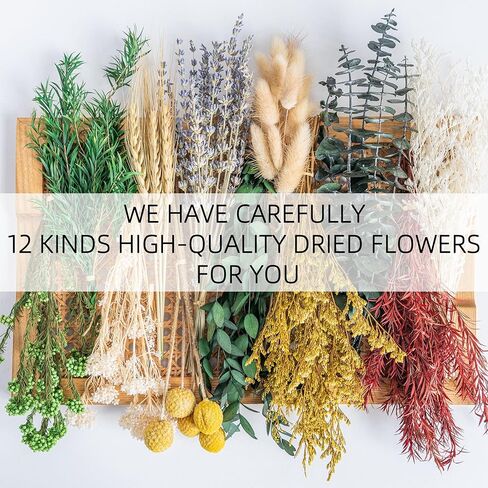 مجموعة الزهور المجففة الطبيعية DIY، 12 نوعًا من الزهور المجففة السائبة بما في ذلك الأوكالبتوس واللافندر والقمح وذيول الأرنب وكرة بيلي، للديكور المنزلي/عيد الميلاد/الموسمي in Saudi Arabia