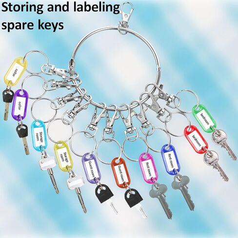 Large Key Ring Hoop,Key Ring Holder,Keys Organizer Portable Keys Management Holders with 10 Swivel Clasps Big Rings Keychain Holders Rings for Office Warehouse School Home(Silver) in Saudi Arabia