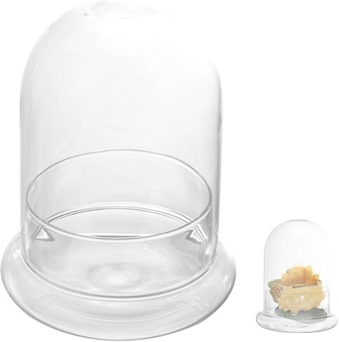 Toddmomy زجاج جرس قبة 1 قطعة زجاج قاء زجاجي جرس جرة قبة زجاج عرض حالة قبة زجاجية مع قاعدة للفنون والمشاريع الصغيرة المحفوظة قبة زهرة in Kuwait