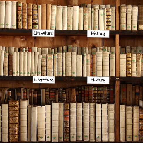 24 قطعة من حاملات ملصقات رف المكتبة مقاس 7.6 × 4 بوصة، علامات أرفف شفافة، حامل رف متحرك مع إدراج الملصقات، علامات رف المكتبة لأرفف الكتب في المكتب والفصول الدراسية in Saudi Arabia