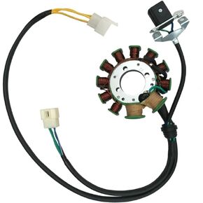 200cc 250cc 11 القطب الجزء الثابت لفائف مغناطيسية ل ATV رباعية الكثبان الرملية الترابية حفرة برو تريل الدراجة الذهاب كارت TaoTao Sunl in Kuwait